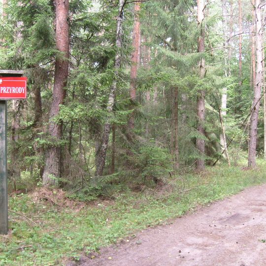 Rezerwat przyrody Sitki