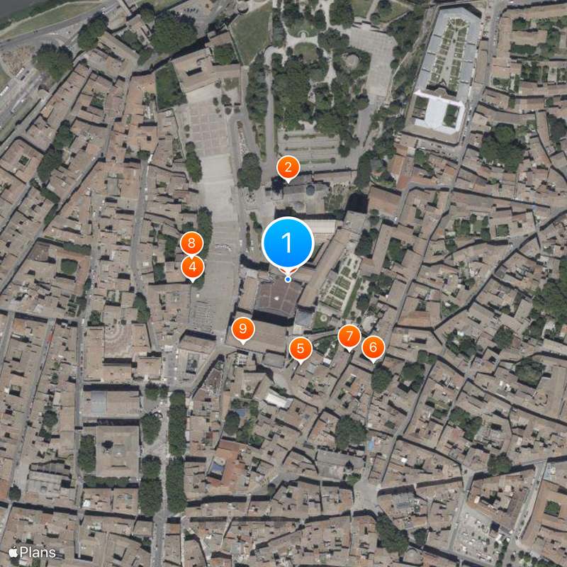 Palais des papes Carte