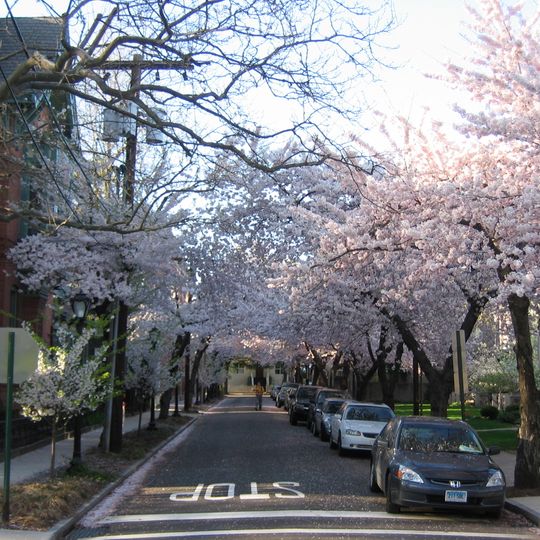 Wooster Square Historic District