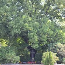 Naturdenkmal Sommerlinde Friedhof in Türkendorf