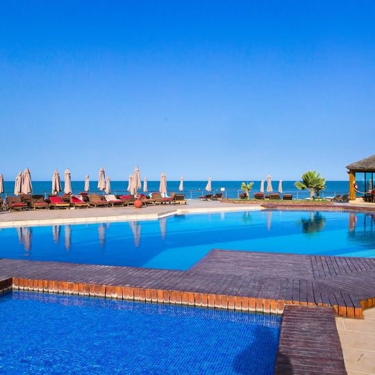 Royal Horizon Baobab
