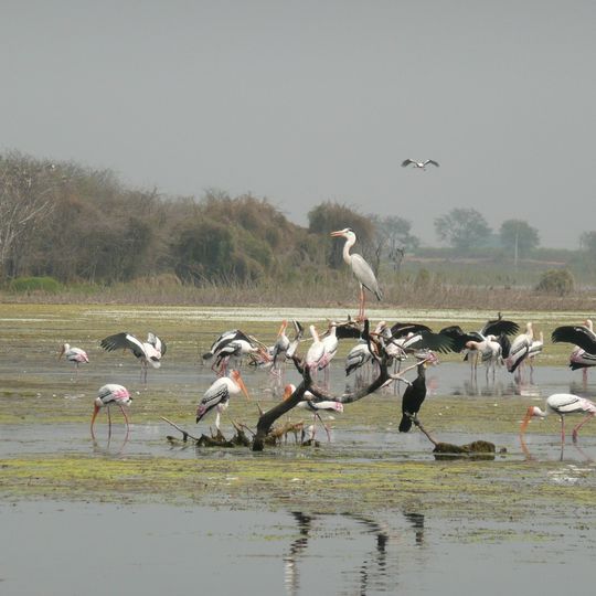 Manjira Wildlife Sanctuary