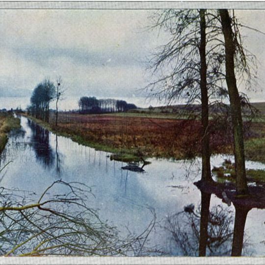Marais de Saint-Gond