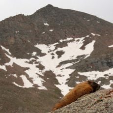 Mount Bierstadt