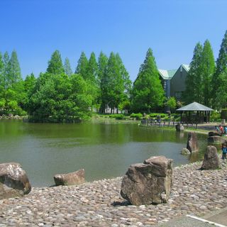 Shōwa General Public Park