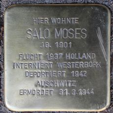 Stolperstein dedicated to Salo Moses