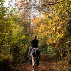 Wild Spring Ranch