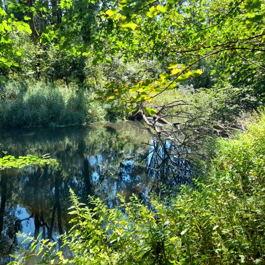 Luppeaue bei Horburg und Zweimen