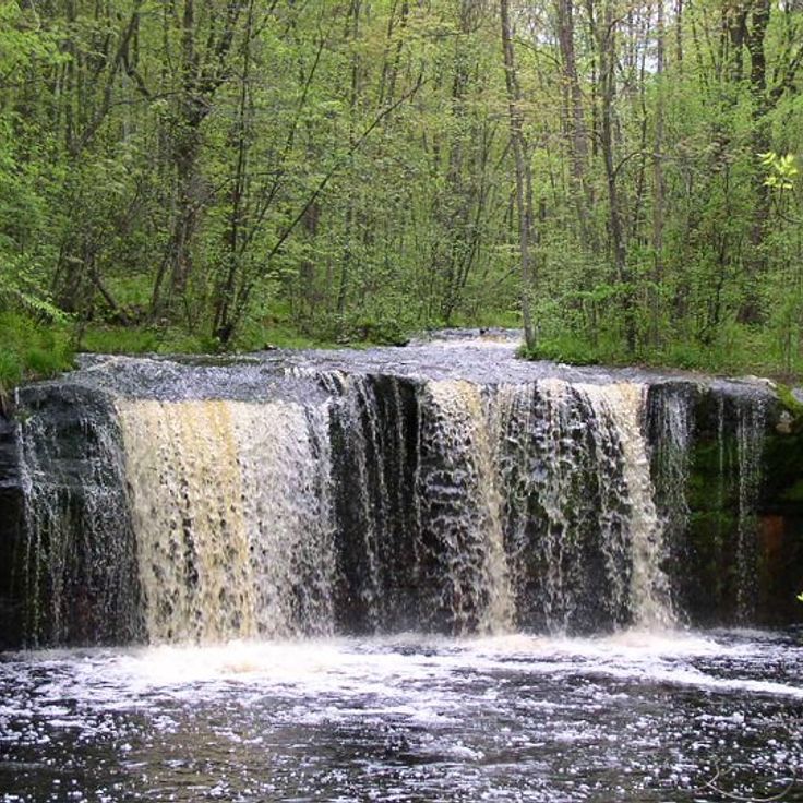 Parc d'État Banning
