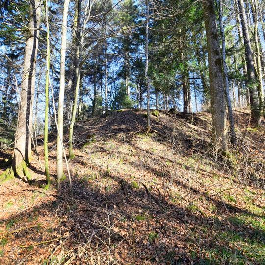 Burgstelle Schlossbühl