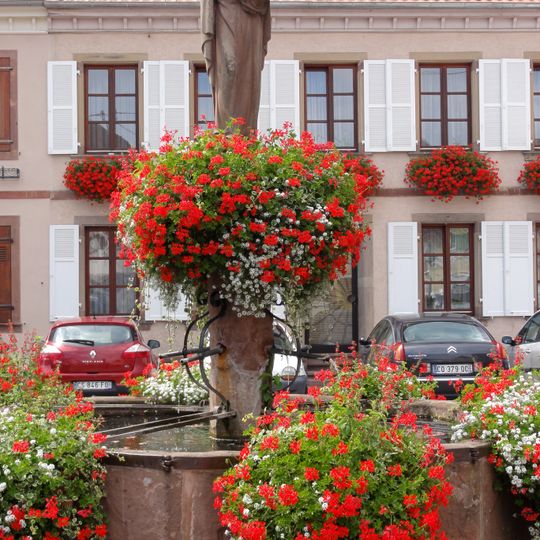 Fontaine de Châtenois