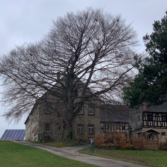 Vierseithof mit westlichem Wohnstallhaus, südlichem Seitengebäude, nördlicher Durchfahrtsscheune und Scheune sowie Stein und Hofbaum