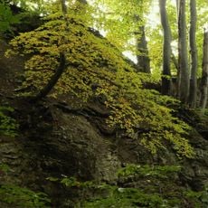Abgesunkene Felsmassen (Felsenkessel des Pferchs)