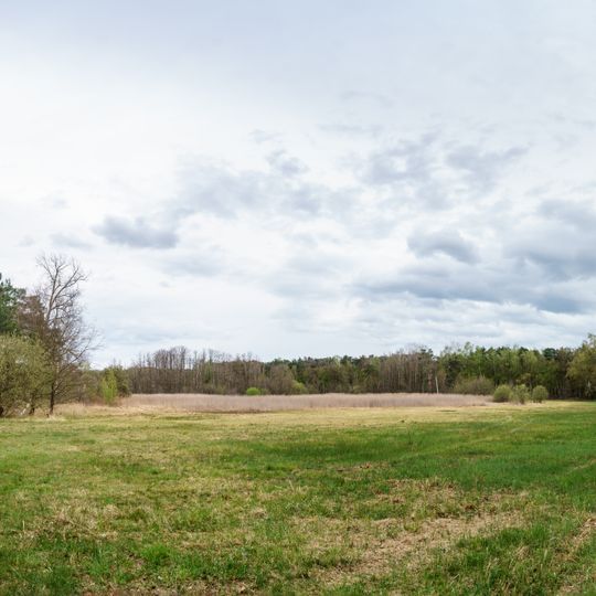 Wet meadow Eichenpfuhl north of Schildau