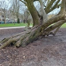 Sarphatipark