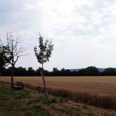 Umgebung der Bantelner Allee