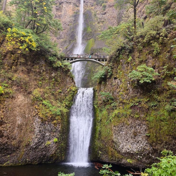 Ochoco's Gorge Tunnel