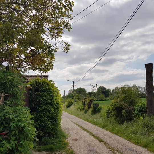 Belgium-Netherlands boundary stone no. 77