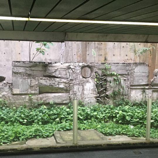 Trilho, Ritmo e Vibração