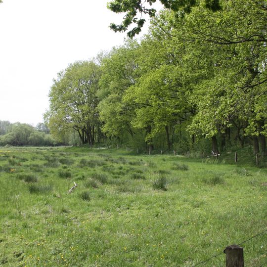 Stellmoorer Tunneltal