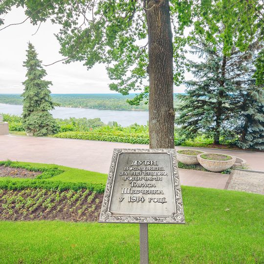 Дуби на Тарасовій горі