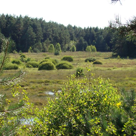 Brambosteler Moor