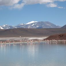 Laguna Brava