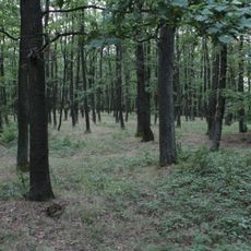 Prírodný park Baba