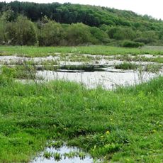 Zaplava of Zhyrak river