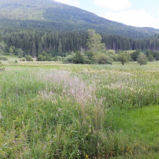 Biotopo Paludi di Sternigo