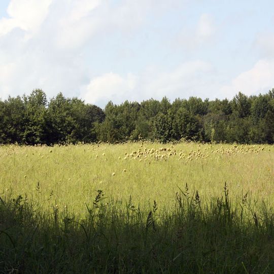 Millington Wildlife Management Area