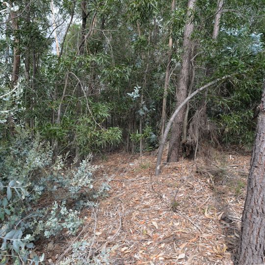 Mamoa da Quinta da Laje