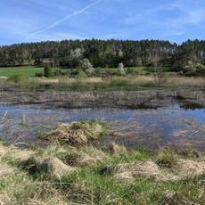 Rybník Starý u Líchov