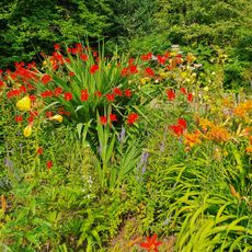Botanischer Garten, Duisburg-Hamborn