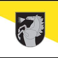 comune distrettuale di Radviliškis