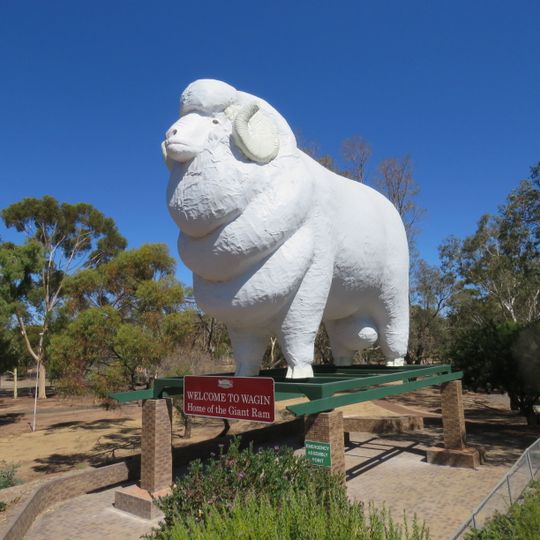 Giant Ram, Wagin