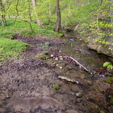 LSG-Hillbachtal