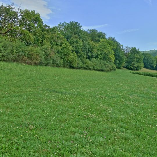 Orchideenwiese Küßnach