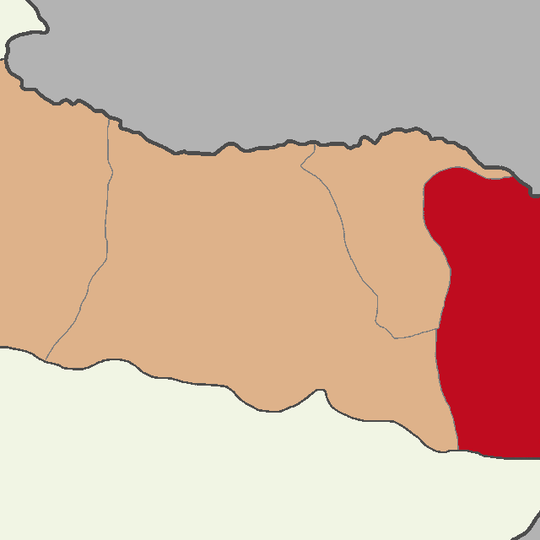 Distretto di Aralık