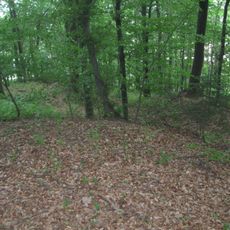 Rimskodobno gomilno grobišče Zorkov gozd