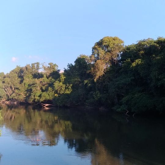 Floresta Nacional Itaituba I