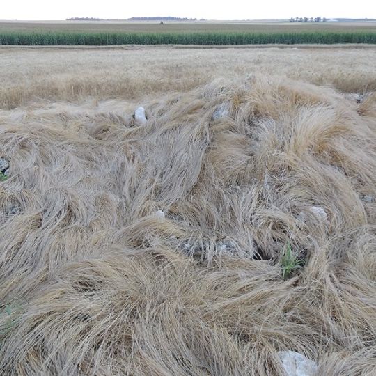 Tumulus de Menainville