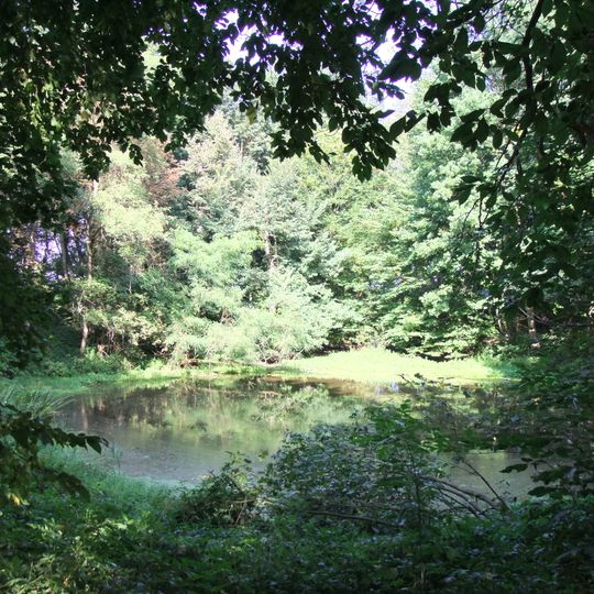 Manor park in Nieciesławice