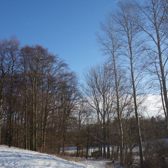 Feldgehölz nördlich des Mühlenberges