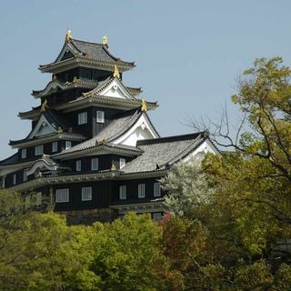 Okayama Castle