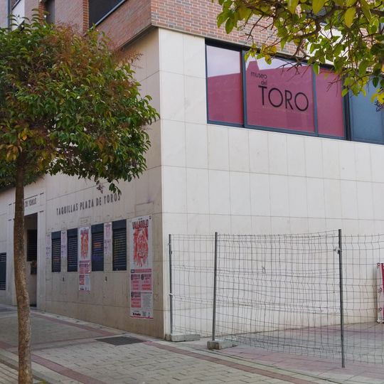 Museo del Toro