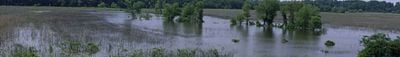 Panoramic View 1