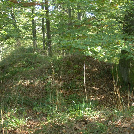 Burgstall Altenthannstein