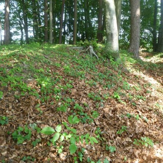 Burgstall Holzöster