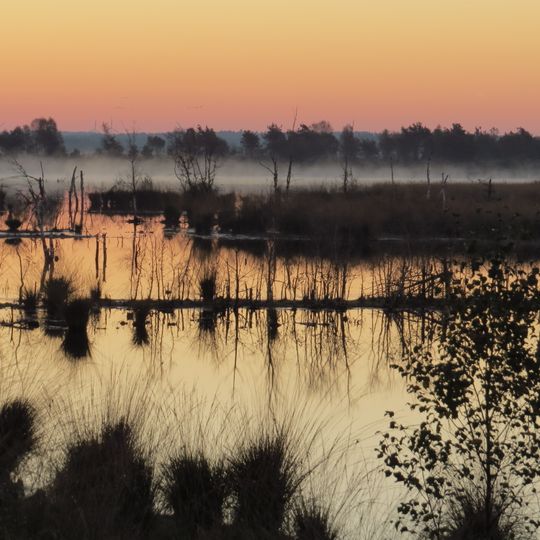 Huvenhoopssee, Huvenhoopsmoor